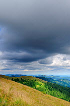 Stormy clouds over alpine grasslands and view of tree line, Leota mountain range, Arges county, Carpathian Mountains, Romania, July, 2011
