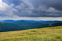 Dark clouds over alpine grassland, Leota mountain range, Arges County, Carpathian Mountains, Romania, July