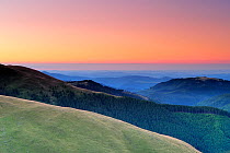 Leota mountain range and forests, seen from alpine grasslands, at dawn, Arges County, Carpathian Mountains, Romania, August, 2011