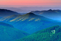 View of forest areas of the Leota Mountain range at dawn, Arges county, Carpathian Mountains, Romania, August, 2011