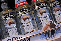 European Bison (Bison bonasus) advertising vodka brand, Poland