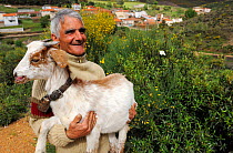 Old goat herd Pablo Martan Rubio holding goat, Salamanca Region, Castilla y Leon, Spain, May 2011