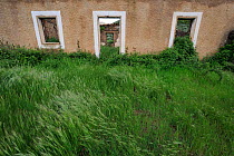 Abandonned buildings - Land abandonment in Vegas de Domingo Rey village, Salamanca Region, Castilla y Leon, Spain, May 2011