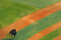 Aerial image of strips of farmland in Salamanca Region, Castilla y Leon, Spain, May 2011