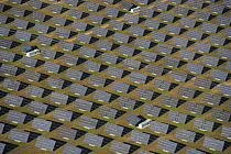 Aerial image of solar energy power station in Salamanca Region, Castilla y Leon, Spain, May 2011