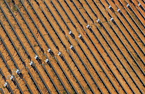 Aerial image of solar energy power station in Salamanca Region, Castilla y Leon, Spain,  May 2011