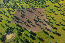Aerial image of Dehesa forest with pond and cultivated land, Salamanca Region, Castilla y Leon, Spain, May 2011