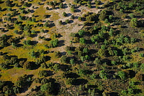 Aerial image of Campanarios de Azaiba Reserve, Salamanca Region, Castilla y Leon, Spain, May 2011