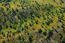 Aerial image of Campanarios de Azaiba Reserve, Salamanca Region, Castilla y Leon, Spain, May 2011