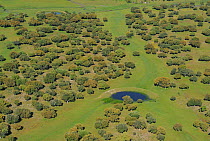 Aerial image of Espiritu Santo area, dehesa Salamanca Region, Castilla y Leon, Spain, May 2011