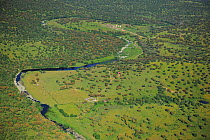 Aerial image of winding river in Espiritu Santo area, dehesa habitat, Salamanca Region, Castilla y Leon, Spain, May 2011