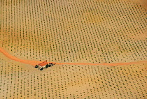 Aerial image of intenisvely farmed farmland with farm building, Salamanca Region, Castilla y Leon, Spain, May 2011