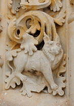 Stone carving of Iberian lynx on Cathedral, Salamanca, Castilla y Leon, Spain