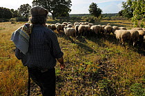 Shepherd with livestock, Campanario de Azaiba,  Salamanca region, Castilla y Leon, Spain, May 2011