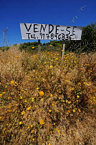 For sale  sign in Douro region, land abandonment,  rewilding project, Portugal, May 2011