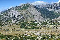 Paklenica National Park, Velebit Nature Park, Dalmatian coast, Croatia, August 2011