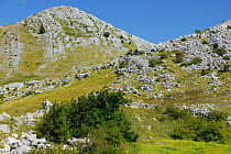 Paklenica National Park, Velebit Nature Park, Dalmatian coast, Croatia, August 2011