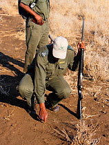 South African Parks rangers following tracks whilst on a patrol near Olifants, Kruger National Park, Transvaal, South Africa, September 2008.