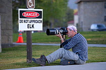 Tourist photographing Elk (Cervus elaphus canadensis) next to do Not Approach Elk sign,  Mammoth Hot Springs, Yellowstone National Park, USA. October 2008.