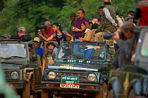 Tiger tourists in their vehicles taking photographs. Bandhavgarh National Park, India.