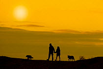 Dog walkers silhouetted against yellow sky. Cley bank, Norfolk, September.