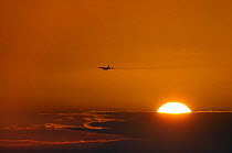 RAF aeroplane at sunset over tidal creeks. Norfolk, UK, October 2012.