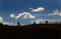 Cyclists on the ridgeway path. Ivinghoe Beacon, Chilterns, Buckinghamshire, September 2012.