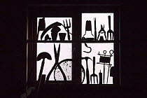 Garden tools silhouetted in potting shed window. September, UK.