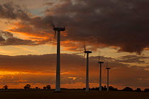 Turbines at a windfarm. West Somerton, Norfolk, September 2012.