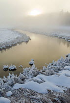 Frosty River in mist. Yellowstone, United States America, February.