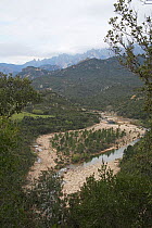 View of the Solenzara river, Parc Naturel Regional de Corse, Corsica, France, April 2010.