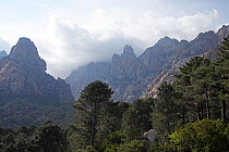 View of the Aiguilles de Bavella, Parc Naturel Regional de Corse, Corsica, France, April 2010.