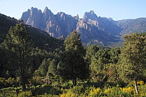 View of the Col de Bavella, Parc Naturel Regional de Corse, Corsica, France, April 2010.
