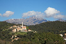 View of Soveria village, Parc Naturel Regional de Corse, Corsica, France, April 2010.