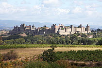 Medieval town of Carcassonne in the Aude department, southwest France, September 2010.