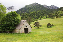 Wildflower meadow and mountain hut near the Col du Prayer, Parc Naturel Regional du Vercors, France, June 2012.