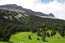 Plateaux above the Vallee de Combeau with the Sommet de Ranconnet and the Sommet de la Montagnette, Reserve Naturelle des Hauts Plateaux du Vercors, France, June 2012.