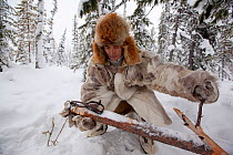 Kosta, a Selkup hunter, setting a trap to catch sable in the forest in winter. Krasnoselkup, Yamal, Western Siberia. Russia 2012