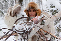Kosta, a Selkup hunter, baiting a trap with fish to catch sable in the forest in winter. Krasnoselkup, Yamal, Western Siberia. Russia 2012