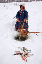 Ivan, a Selkup elder, checking his fishing net set under the ice of the Pechalka River in Krasnoselkup, Yamal, Western Siberia, Russia 2012