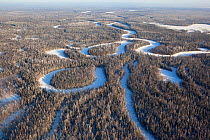 Aerial view of boreal forest / taiga in winter in the Taz River Basin, Krasnoselkup, Yamal, Western Siberia, Russia 2012