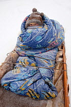 Albina, a young Selkup girl, warmly wrapped up for a winter sled journey near Ratta, Krasnoselkup, Yamal, Western Siberia, Russia 2012