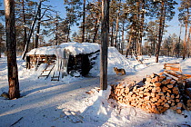 Firewood stacked outside a 'Poymot' (traditional Selkup turf hut) at a winter hunting camp in the forest near Ratta, Krasnoselkup, Yamal, Western Siberia, Russia 2012