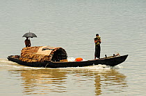 People in  boat on a river in the Sundarbans National Park, the largest mangrove swamp in the world. Bangladesh. UNESCO World Heritage Site. June 2012.