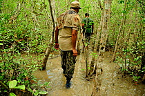 Tourist guides in mangroves  to observe wildlife of the area, Sundarbans National Park, the largest mangrove swamp in the world. UNESCO World Heritage Site. June 2012.