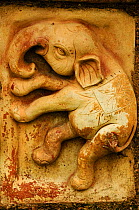 An elephant engraved in stone Somapura Mahavihara Buddhist, Paharpur. UNESCO World Heritage Site. Bangladesh. June 2012.