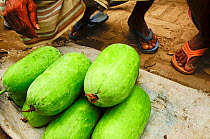 Close-up of melons for sale in a market of Dhaka, Bangladesh, June 2012.