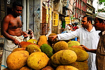 Kathal or jackfruits for sale in  market, Dhaka, Bangladesh, June 2012.