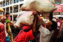 Stevedores or dock workers carrying cargo to and from the boats, Sadarghat water front, Dhaka, Bangladesh June 2012.