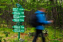 Person walking in front of signpost for walkers, near Refugio Grey hut, Torres del Paine National Park, Patagonia, Chile. Model released.